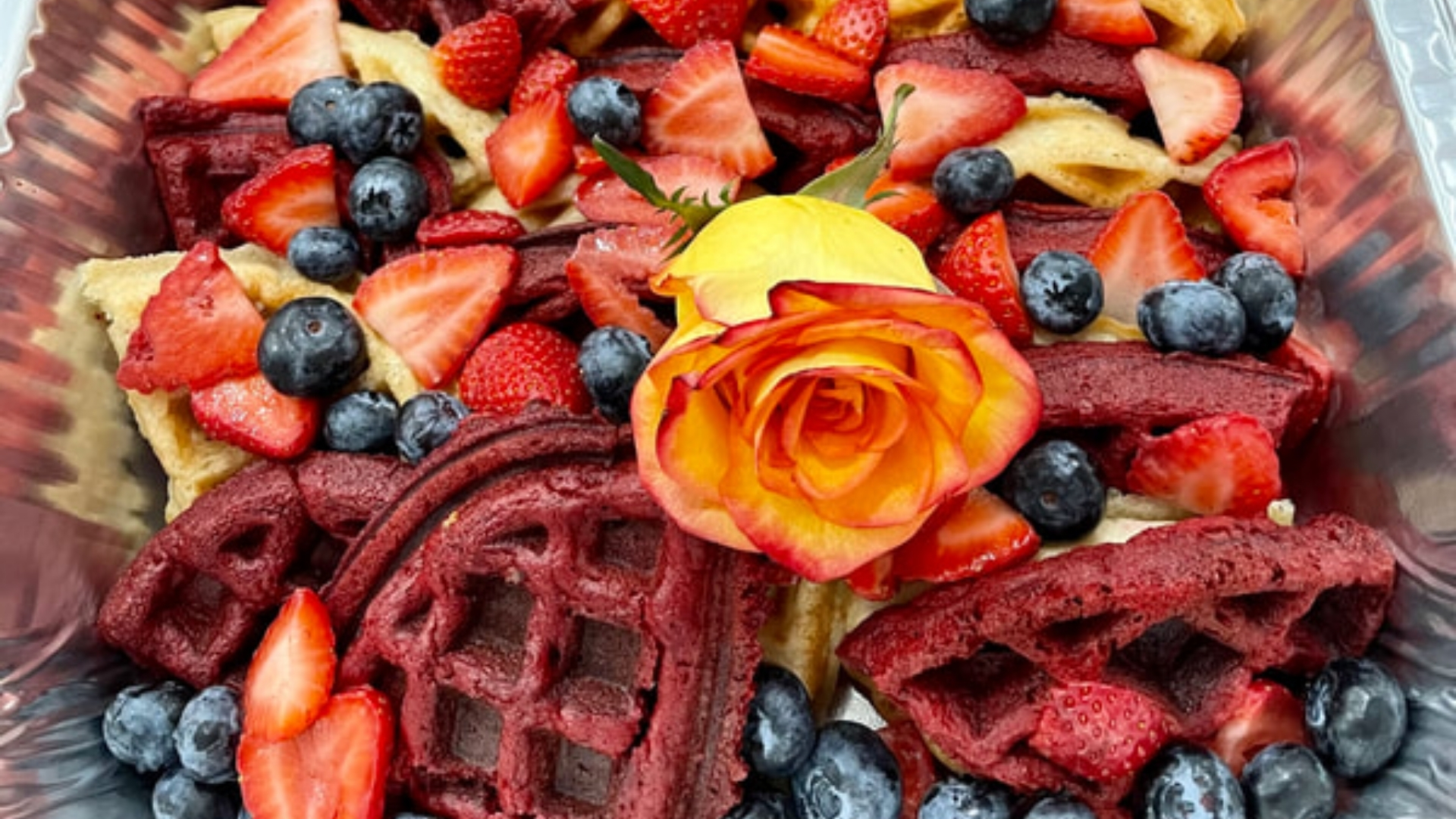 Elegant plated gourmet dishes with tropical garnishes at a luxury outdoor event in Naples, Florida.
