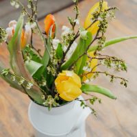 Colorful tulips and branches are arranged in a white pitcher on a rustic table.